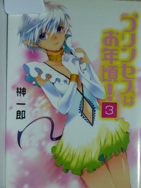 プリンセスはお年頃！３　榊一郎(著)